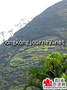 香港海洋公园
(香港旅游网)